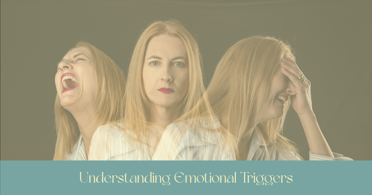 Hubspot Blog  Understanding Emotional Triggers